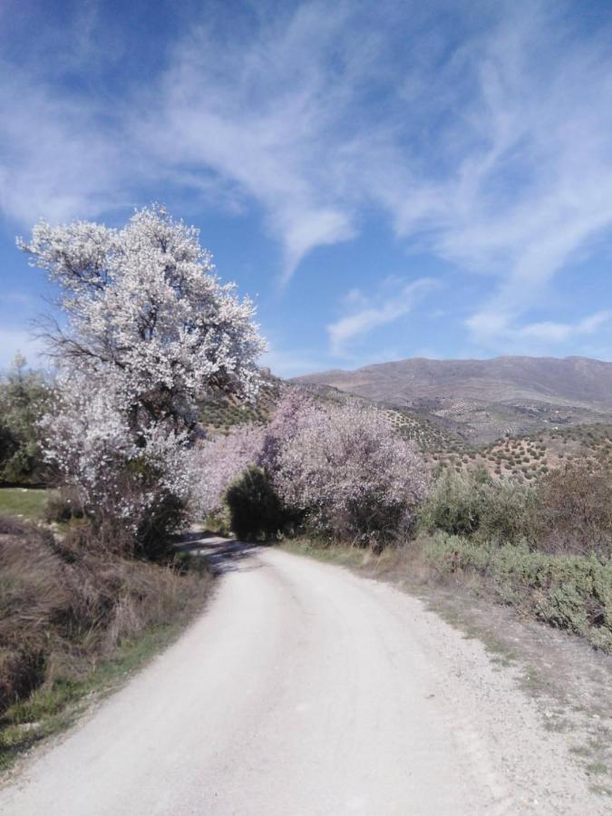 El Convento Vivienda Rural Jaen Andalucia Espana Carchelejo المظهر الخارجي الصورة