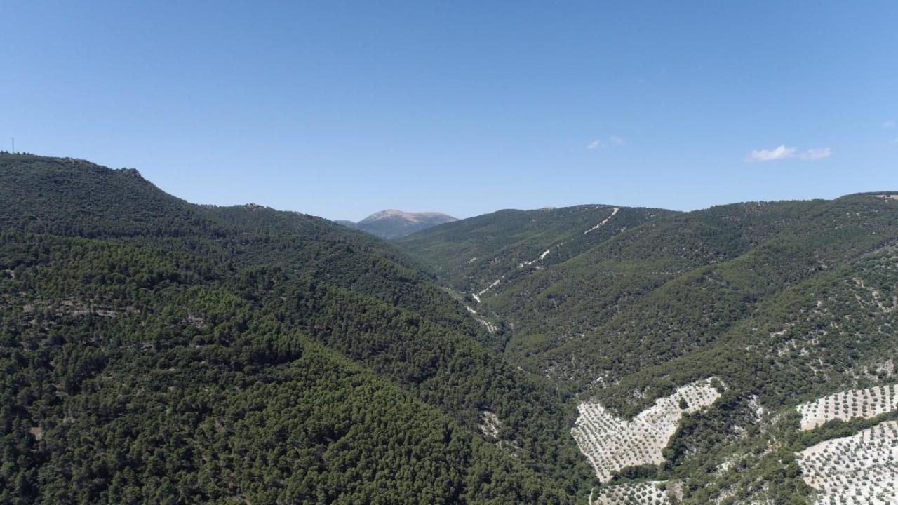 El Convento Vivienda Rural Jaen Andalucia Espana Carchelejo المظهر الخارجي الصورة