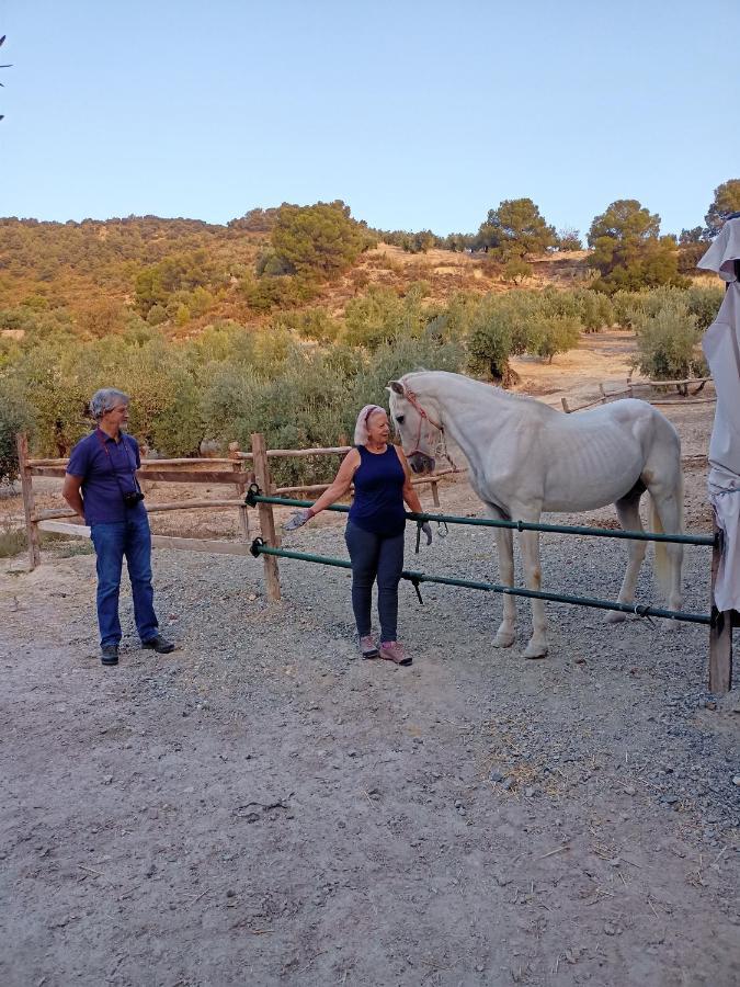 فيلا El Convento Vivienda Rural Jaen Andalucia Espana Carchelejo المظهر الخارجي الصورة